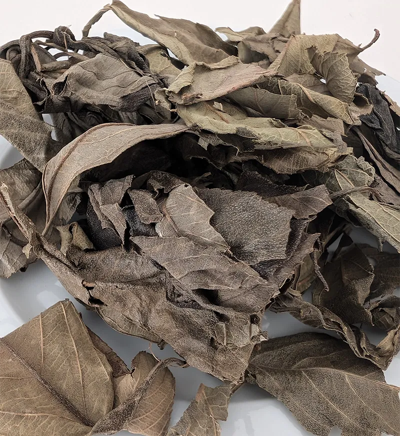 Feuilles de kinkéliba séchées du Mali pour infusion