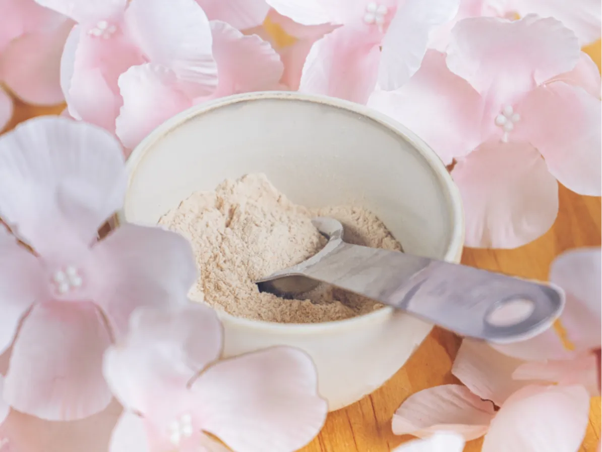 poudre de baobab dans un pot prête à être ajoutée à l'alimentation