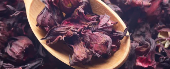 cuillère en bois avec des fleurs d'hibiscus séchées dedans et sous la cuillère en bois pour parler des bienfaits de l'hibiscus et de la consommation de bissap