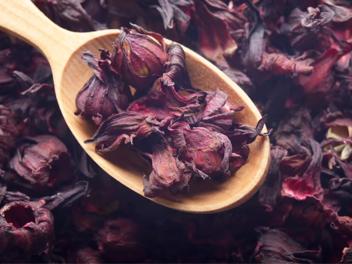cuillère en bois avec des fleurs d'hibiscus séchées dedans et sous la cuillère en bois pour parler des bienfaits de l'hibiscus et de la consommation de bissap