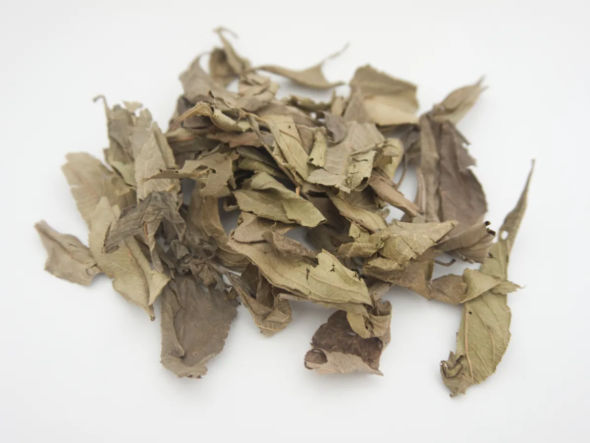 feuilles de kinkéliba posées sur une surface blanche