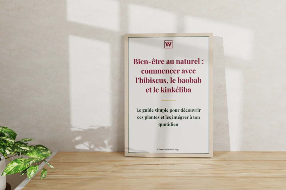 e-book commencer avec l'hibiscus, le baobab et le kinkéliba posé debout sur une table et contre un mur